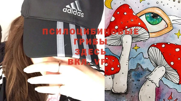 трава Аркадак