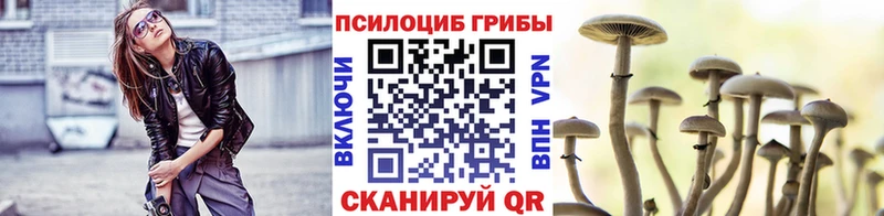Псилоцибиновые грибы мухоморы  kraken рабочий сайт  Отрадная  где купить наркоту 